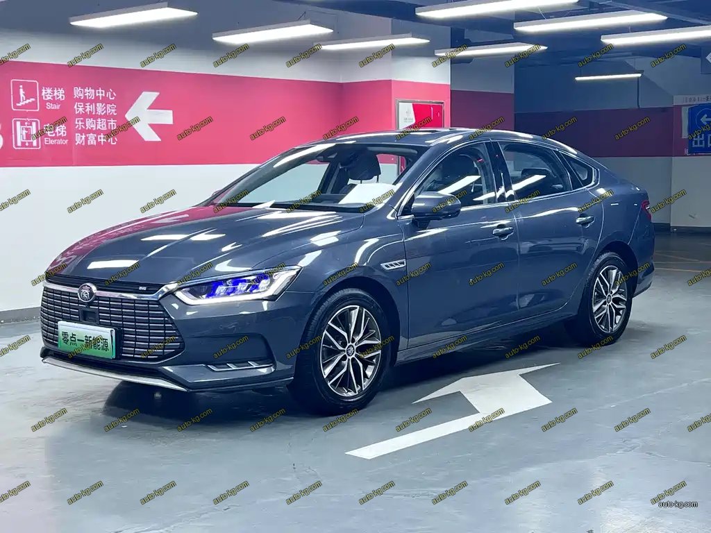 BYD Qin Pro NEV 2020