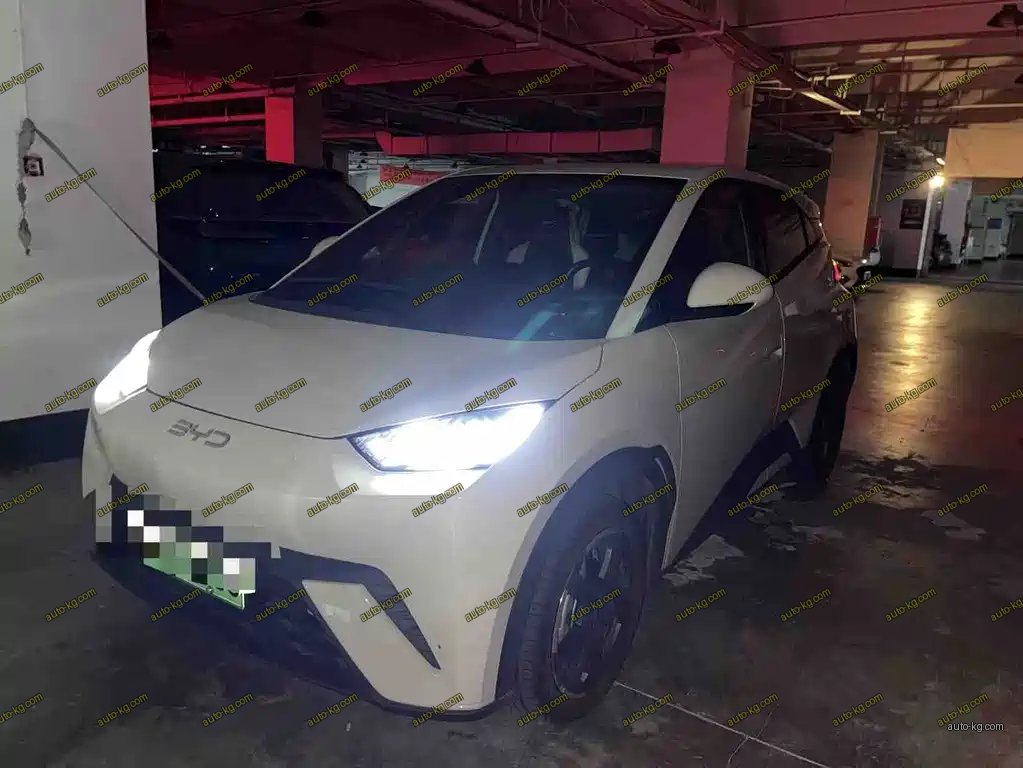 BYD Seagull 2024