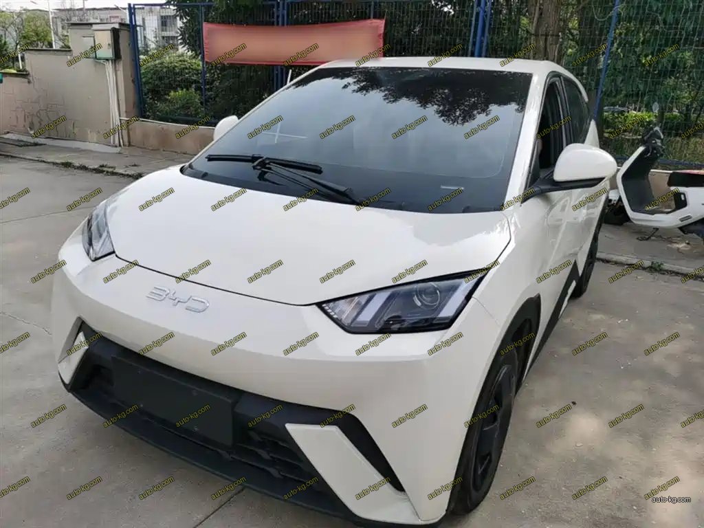 BYD Seagull 2025