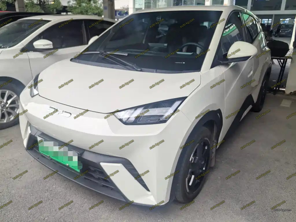 BYD Seagull 2023