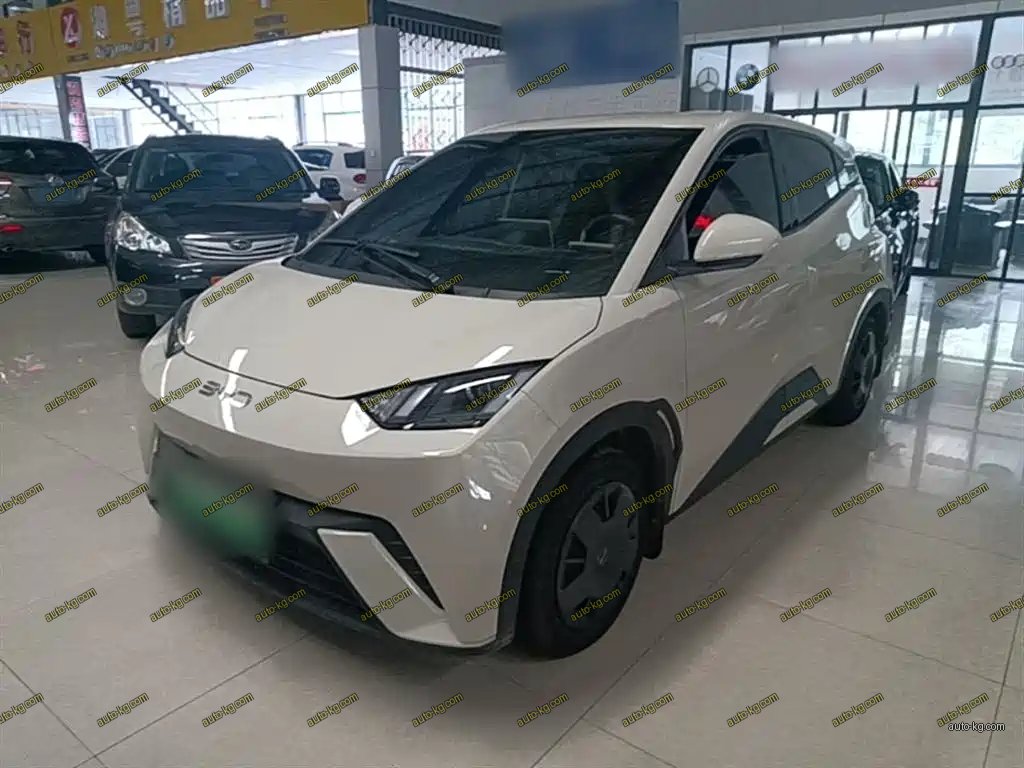 BYD Seagull 2024