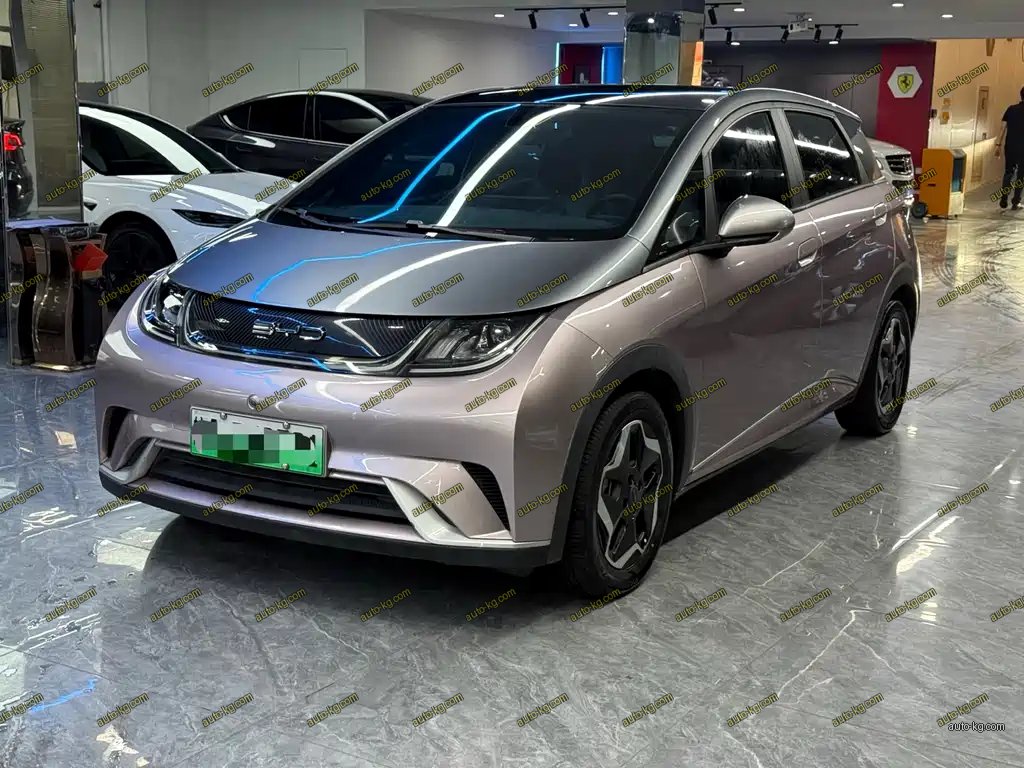 BYD Dolphin 2024