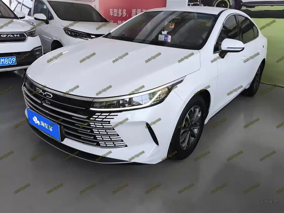 BYD Destroyer 05 2024