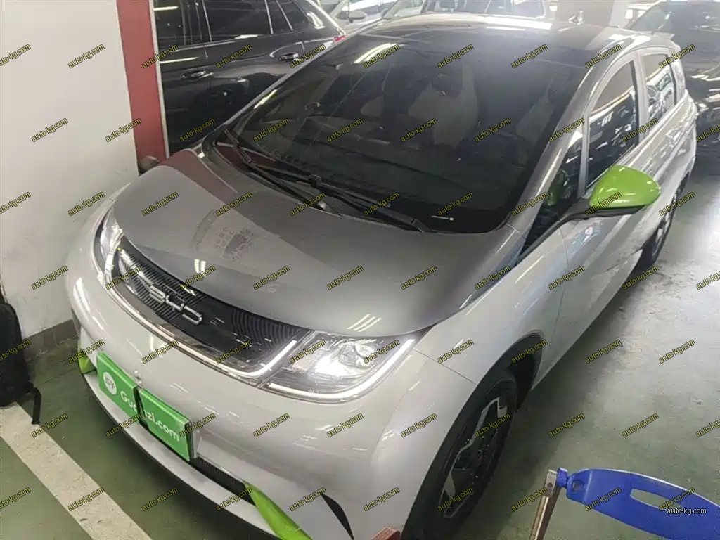 BYD Dolphin 2022