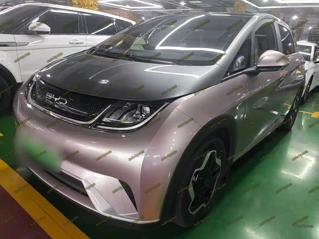 BYD Dolphin 2022