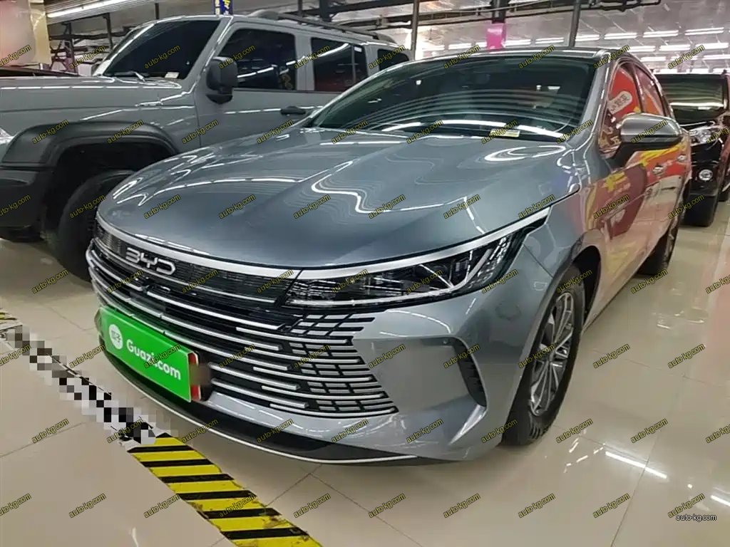BYD Destroyer 05 2024