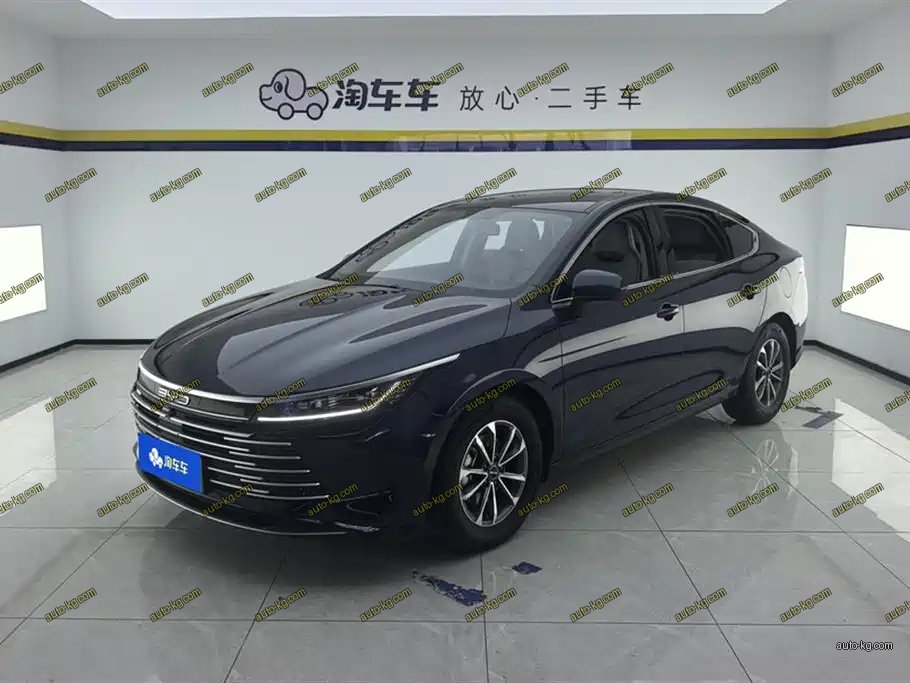BYD Destroyer 05 2024