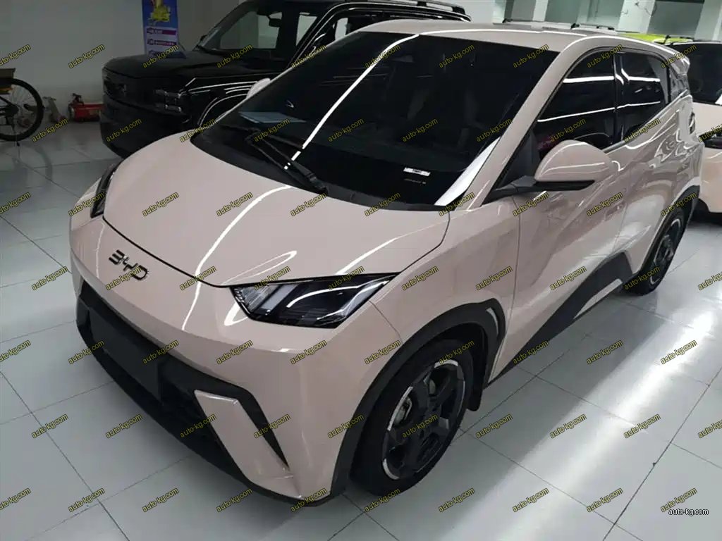 BYD Seagull 2024