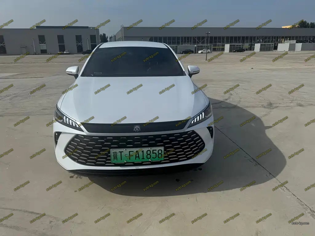 BYD Qin PLUS 2025