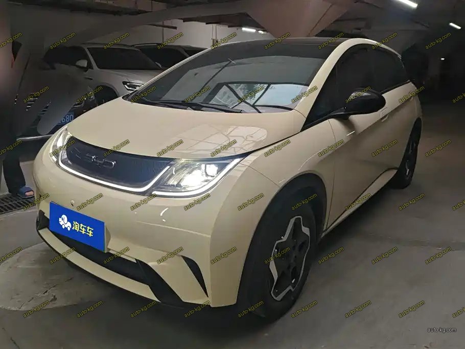 BYD Dolphin 2022