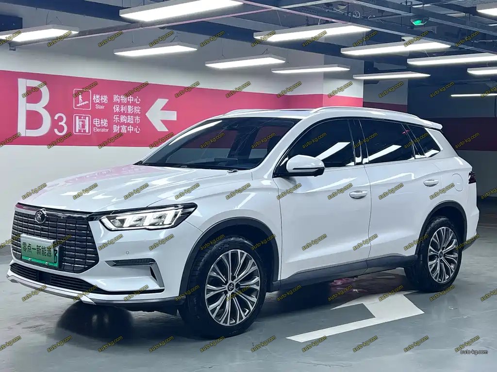 BYD Pro New Energy 2020