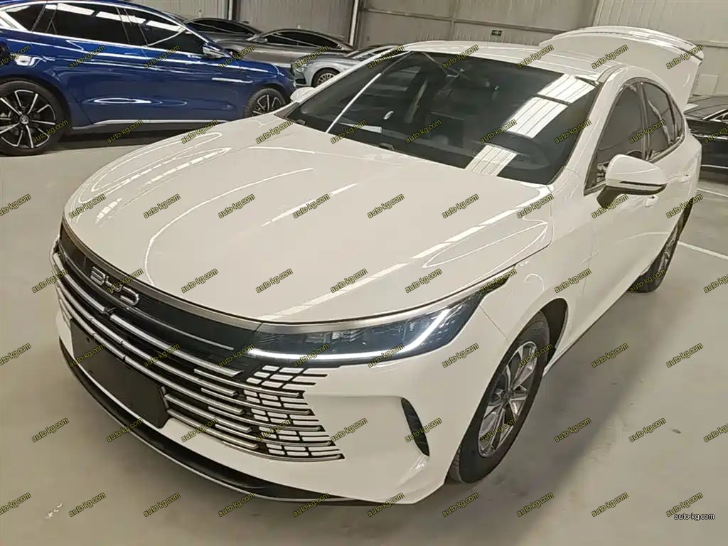 BYD Destroyer 05 2025