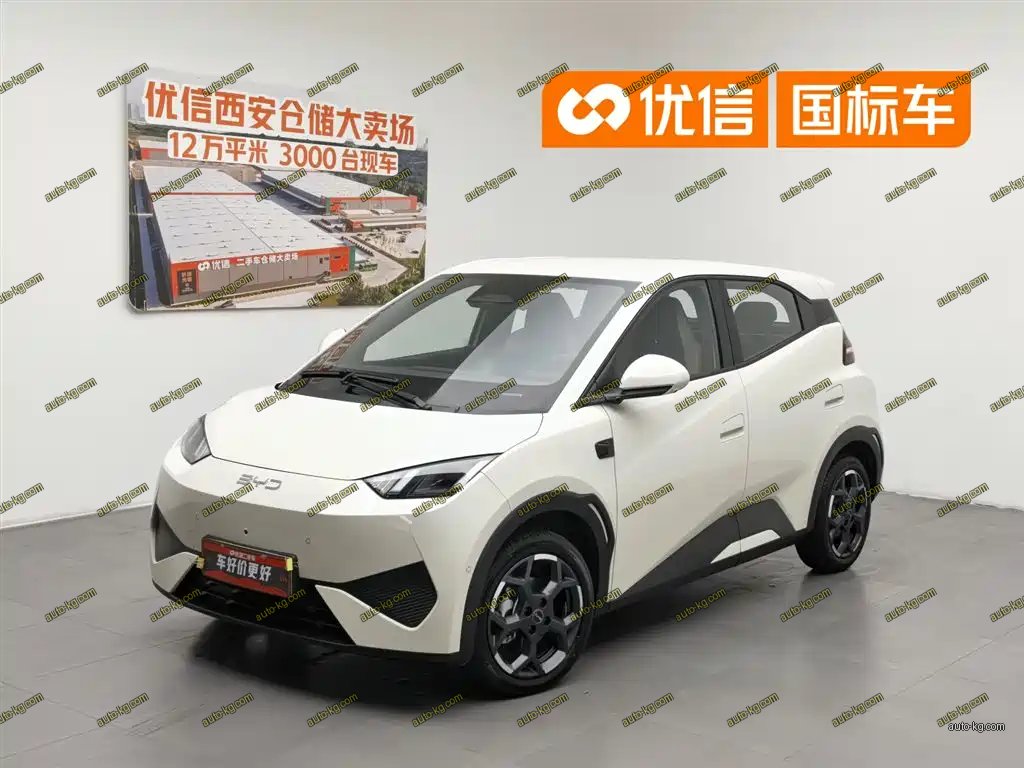 BYD Seagull 2025