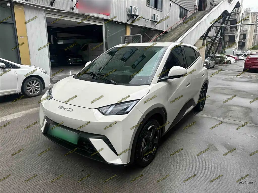 BYD Seagull 2023