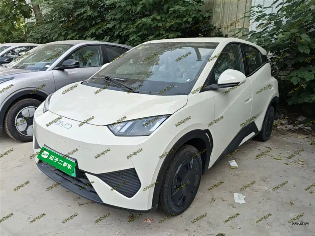 BYD Seagull 2026