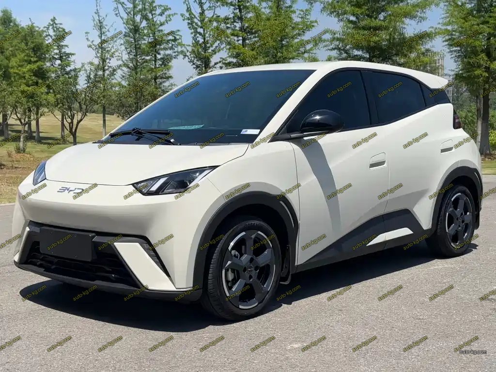 BYD Seagull 2024