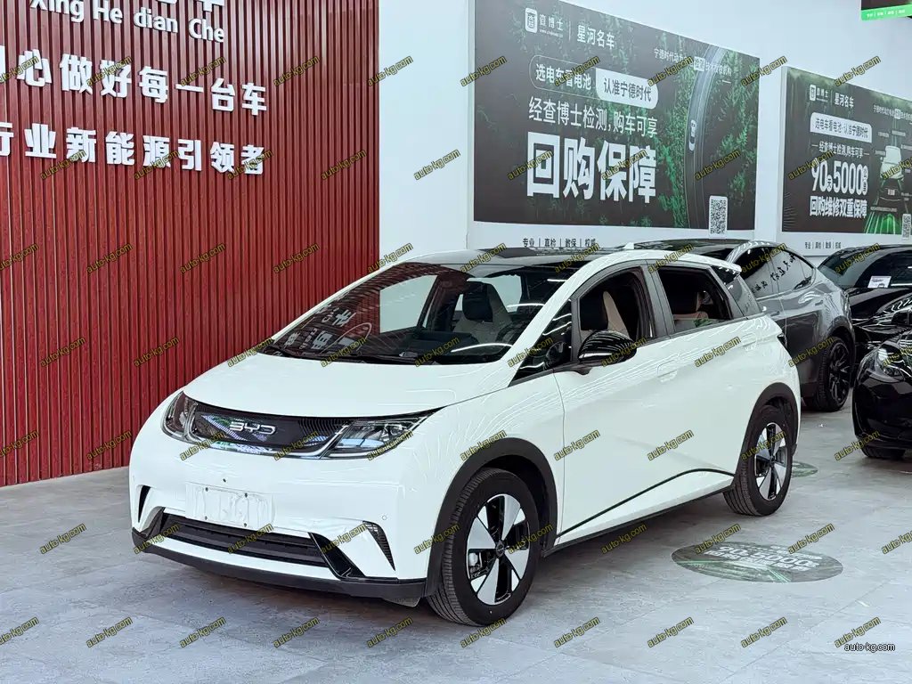 BYD Dolphin 2023