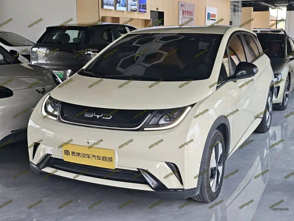 BYD Dolphin 2024