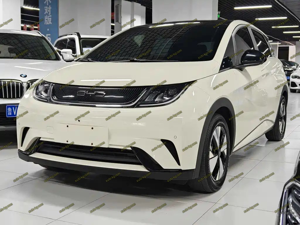 BYD Dolphin 2023