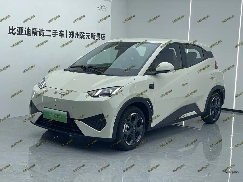 BYD Seagull 2025