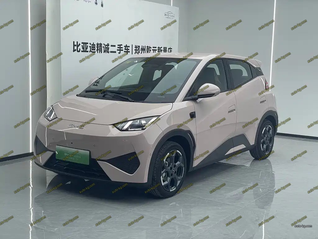BYD Seagull 2025