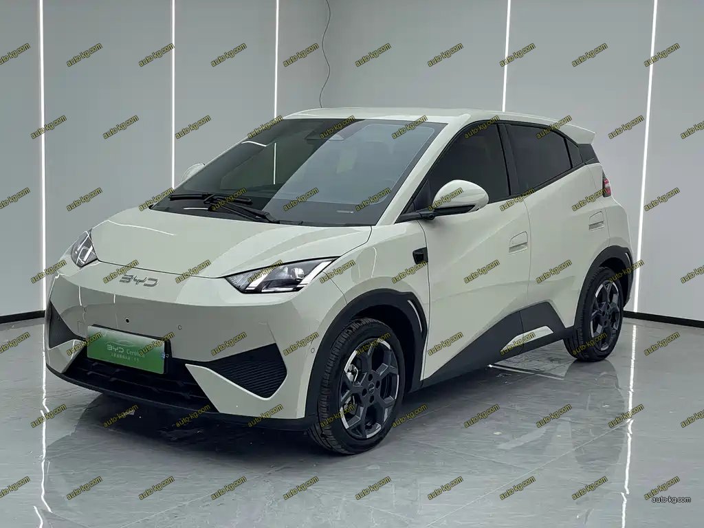 BYD Seagull 2025