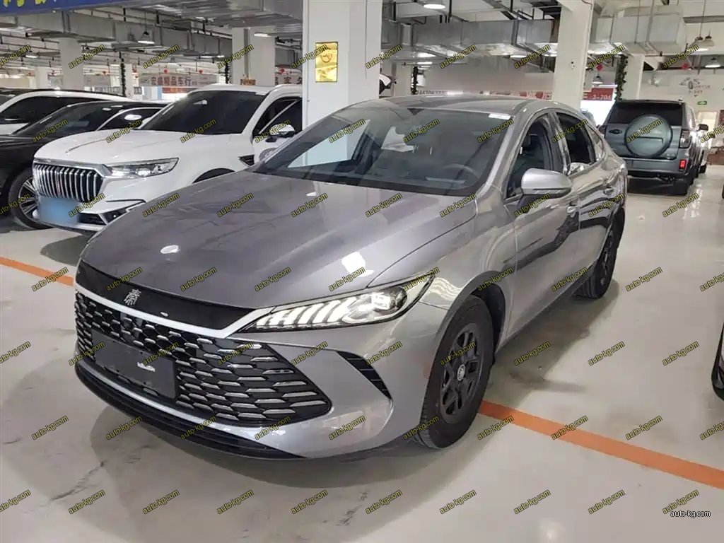 BYD Qin PLUS 2025