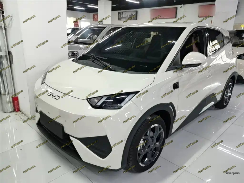 BYD Seagull 2025