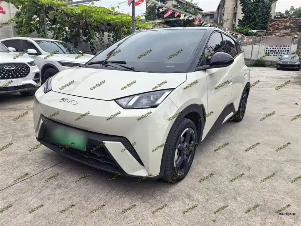 BYD Seagull 2024