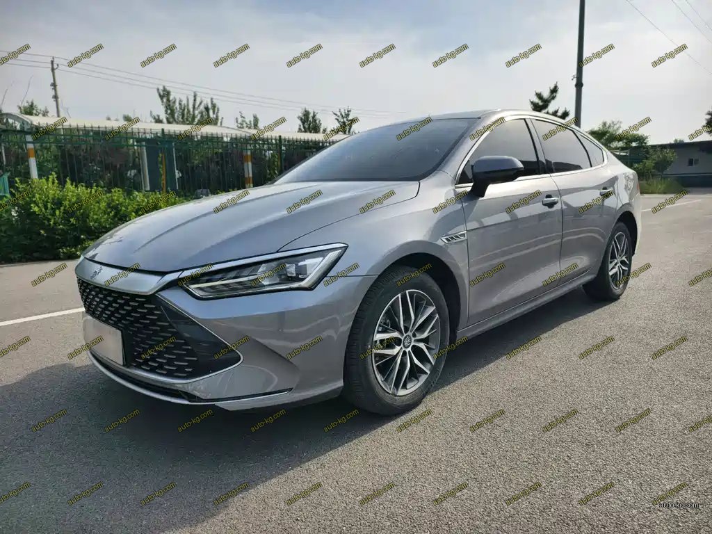 BYD Qin PLUS 2024