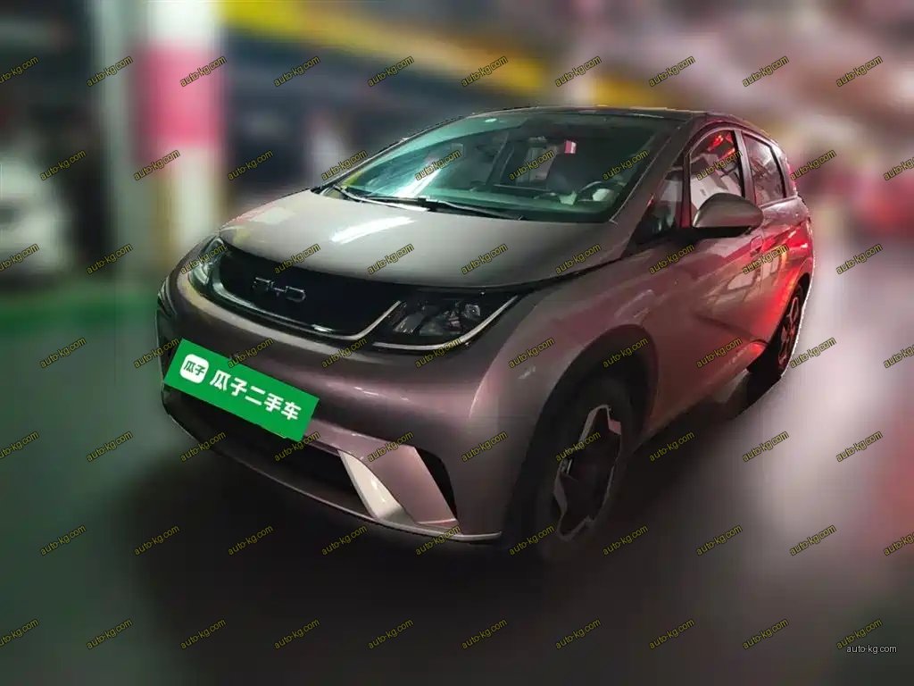 BYD Dolphin 2022