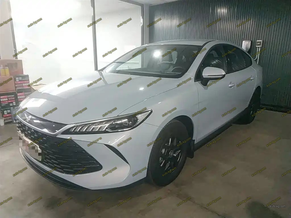 BYD Qin PLUS 2025