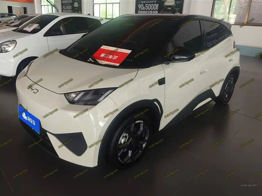 BYD Seagull 2025