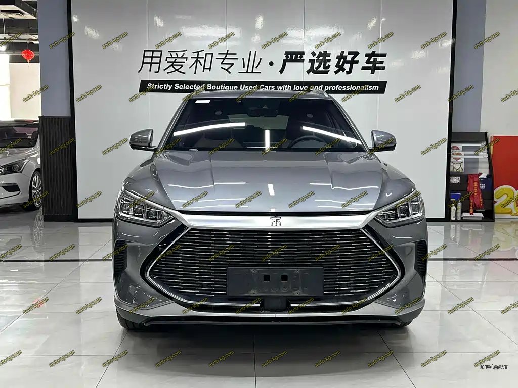 BYD PLUS New Energy 2022