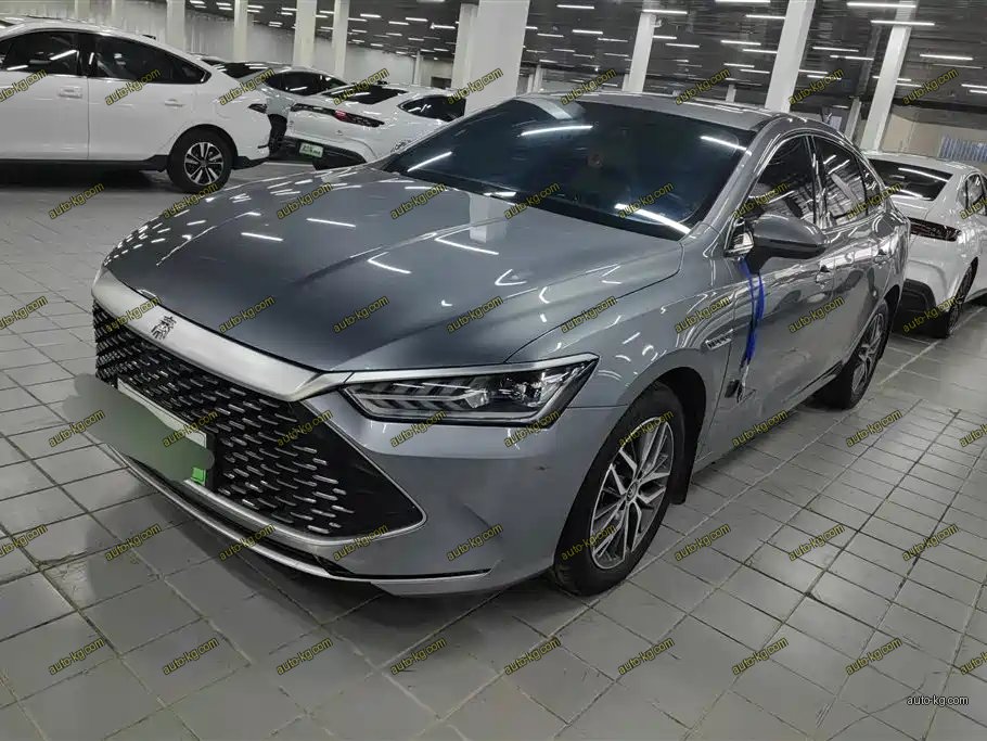 BYD Qin PLUS 2024