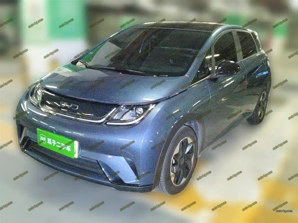 BYD Dolphin 2024
