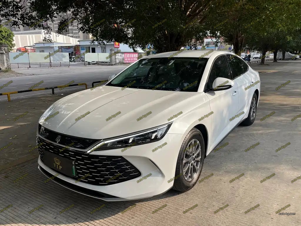 BYD Qin L 2024