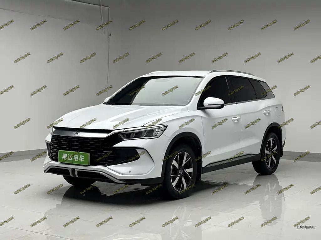 BYD Pro New Energy 2024