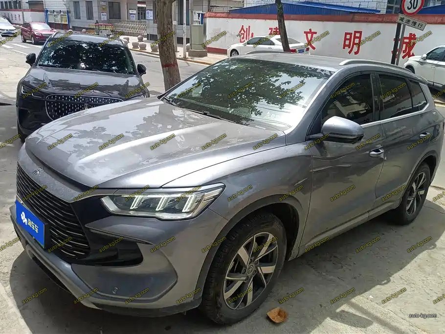 BYD Pro New Energy 2025