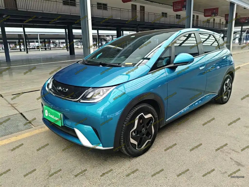 BYD Dolphin 2022