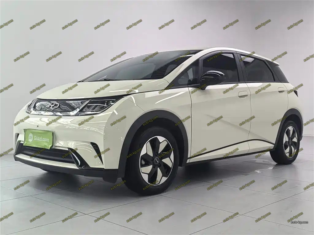 BYD Dolphin 2025