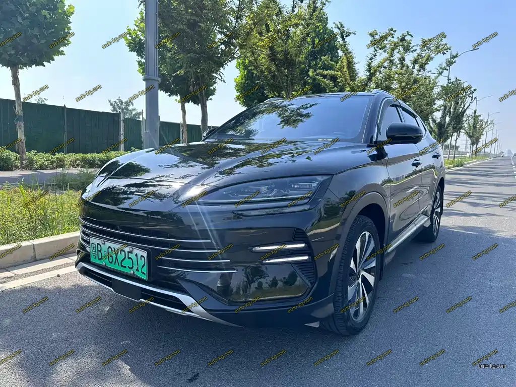 BYD PLUS New Energy 2023