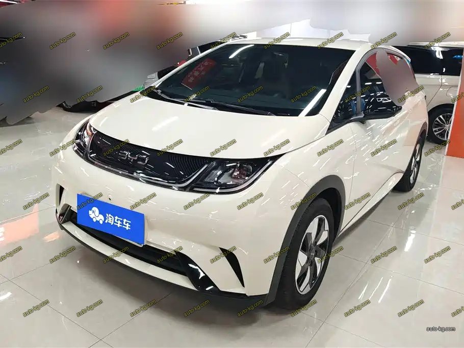 BYD Dolphin 2025