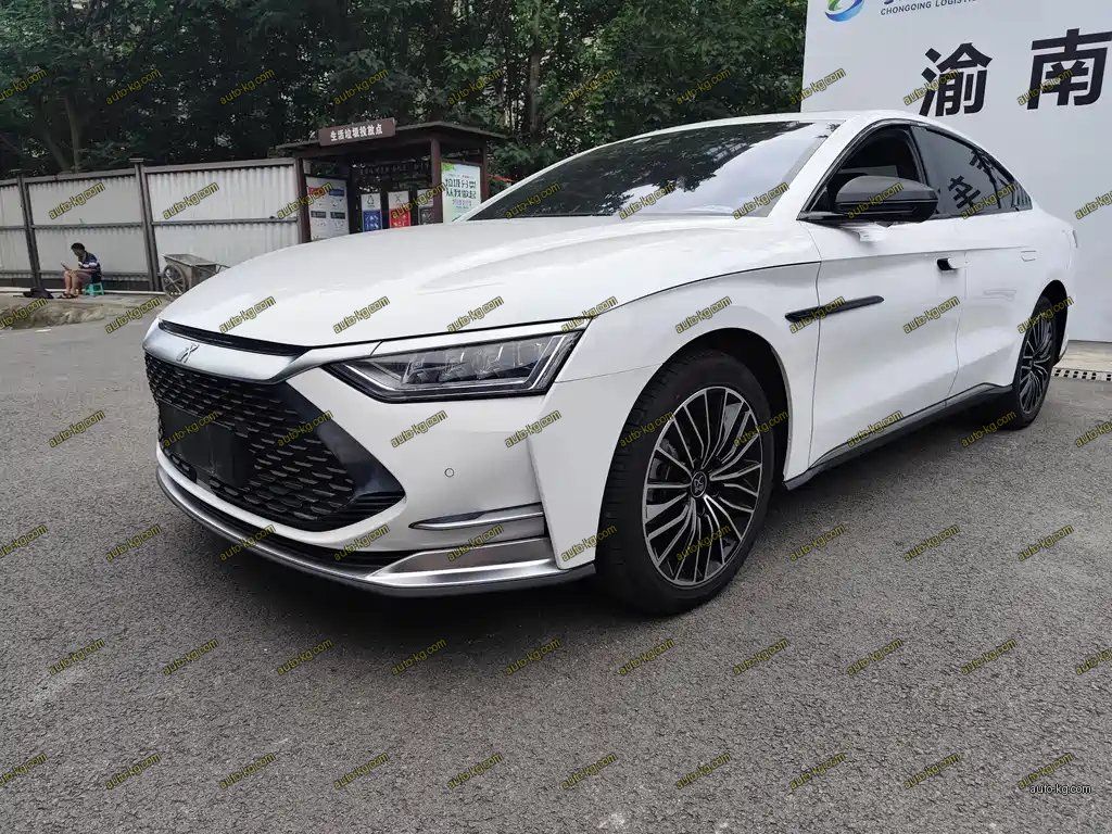 BYD Han 2022