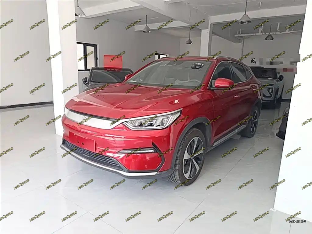 BYD PLUS New Energy 2021