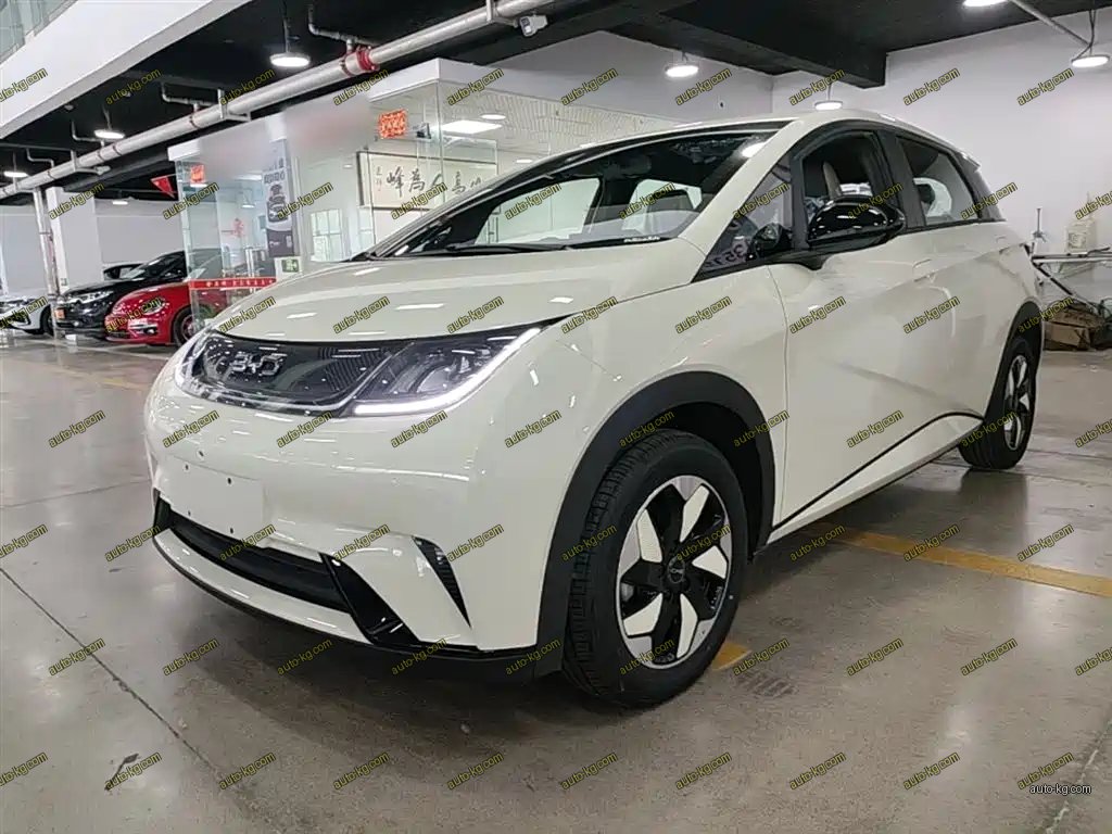 BYD Dolphin 2025