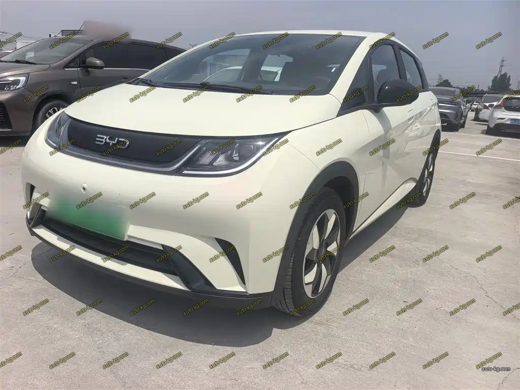 BYD Dolphin 2026