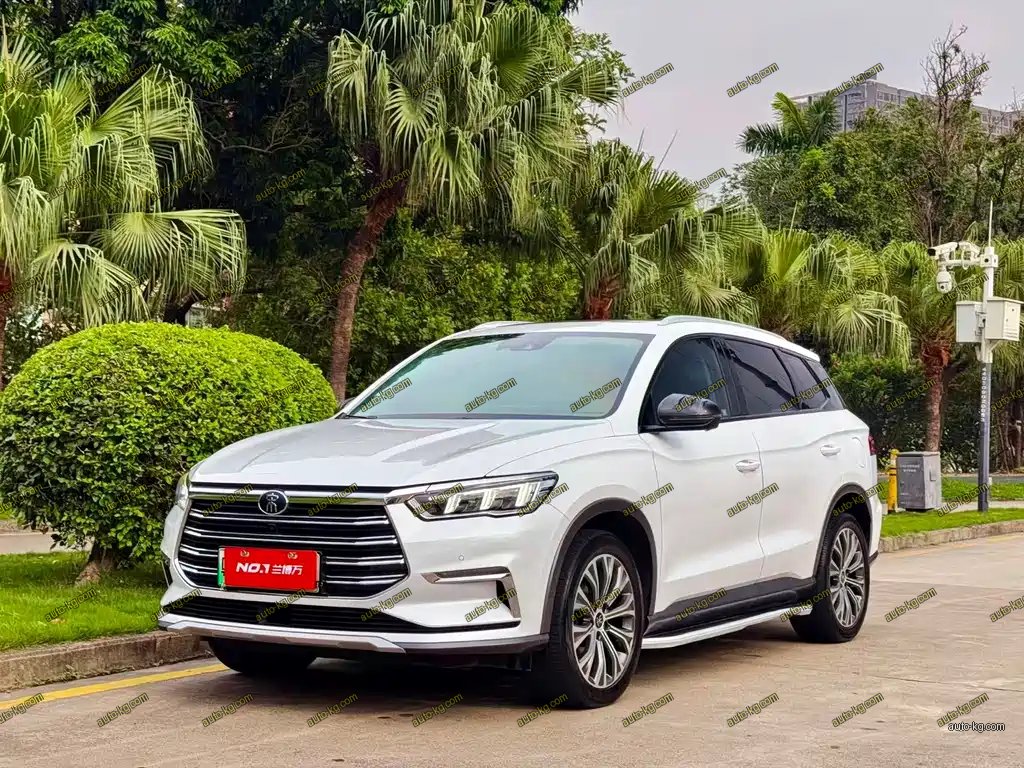 BYD Pro New Energy 2020