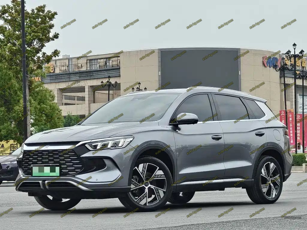 BYD Pro New Energy 2023