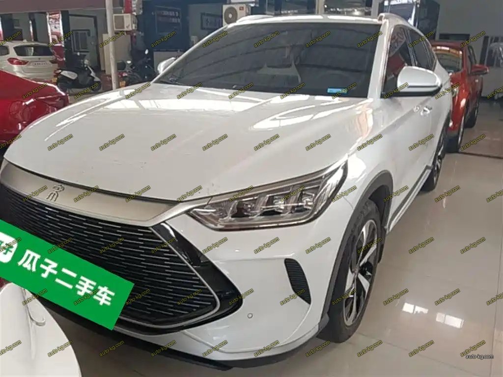 BYD PLUS New Energy 2022